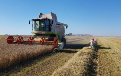 My journey in agriculture